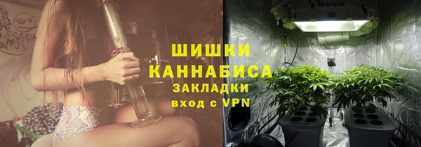 гашик Корсаков