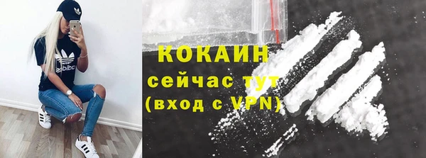 гашик Коряжма