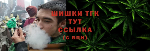 гашик Коряжма