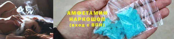 гашик Корсаков