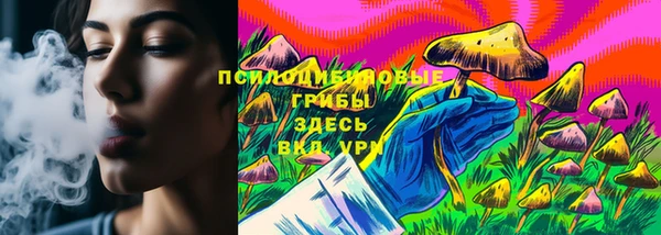 гашик Корсаков