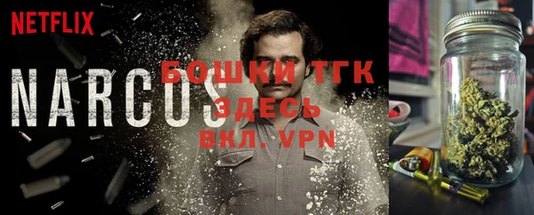 гашик Корсаков
