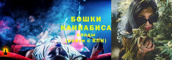 гашик Корсаков