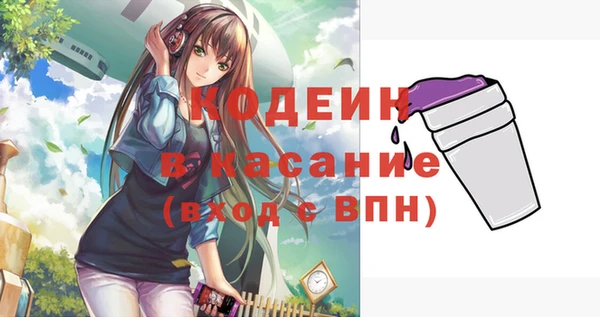 гашик Коряжма