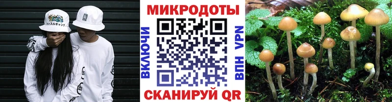 Галлюциногенные грибы Cubensis  Купить где  Плёс 